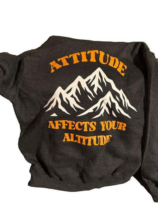 Attitude